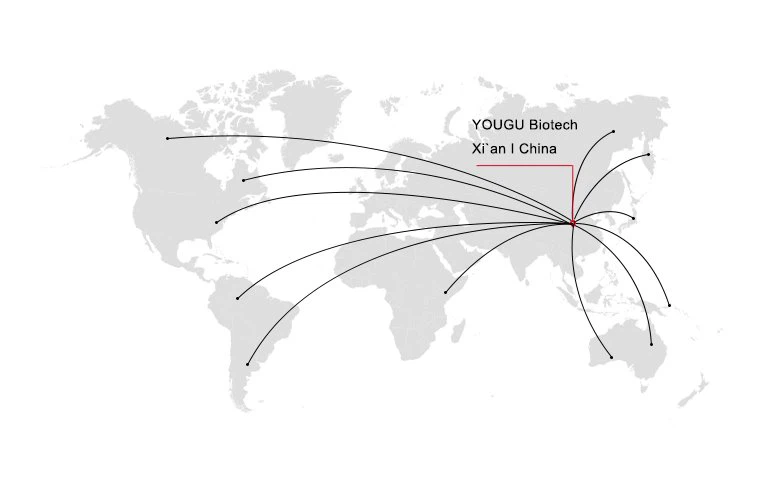 sitemap