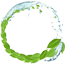 Icon01
