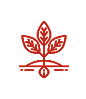 Iocn02