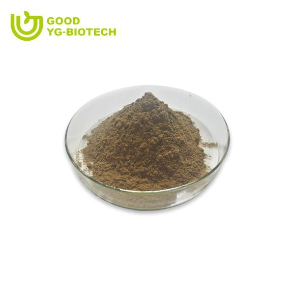 Lion's mane extract beta glucan